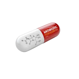 penicil